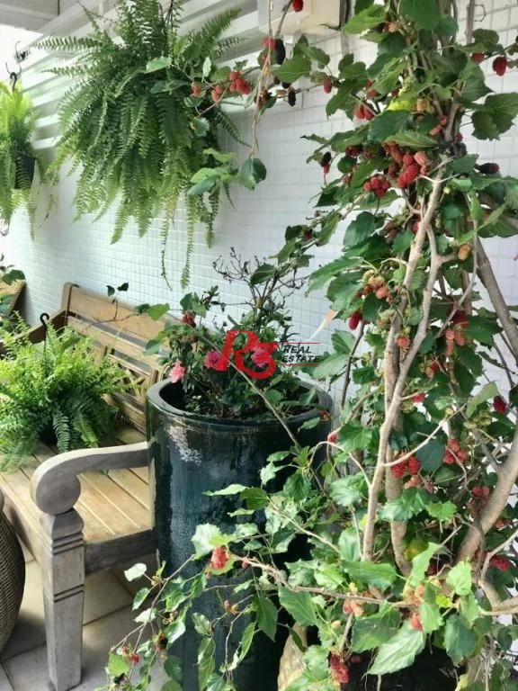 Apartamento Garden com 4 dormitórios à venda, 330 m² por R$ 3.200.000,00 - Aparecida - Santos/SP