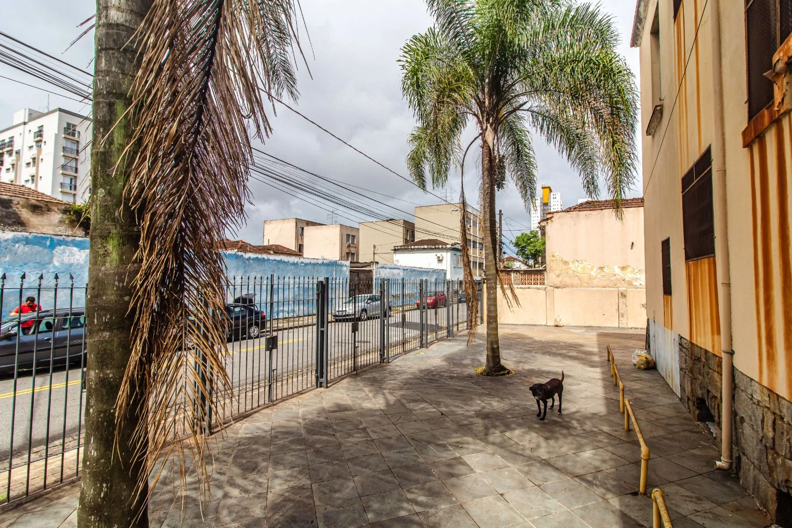 Sobrado com 5 dormitórios, 207 m² - venda por R$ 1.400.000,00 ou aluguel por R$ 6.409,23/mês - Macuco - Santos/SP